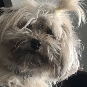 Meet your Posher, Cheryl